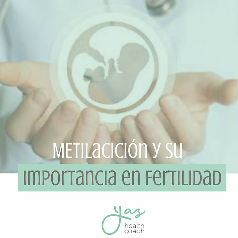 ¡La metilación y su importancia en la Fertilidad!